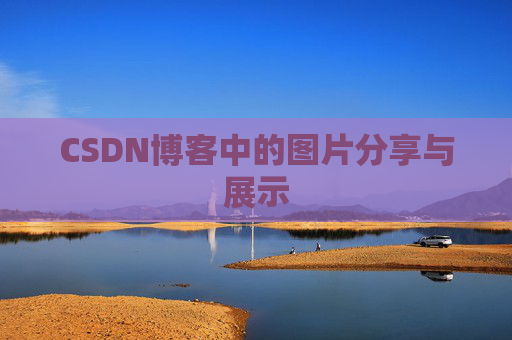 CSDN博客中的图片分享与展示